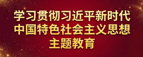 学习贯彻习近平新时代中国特色社会主义思想主题教育